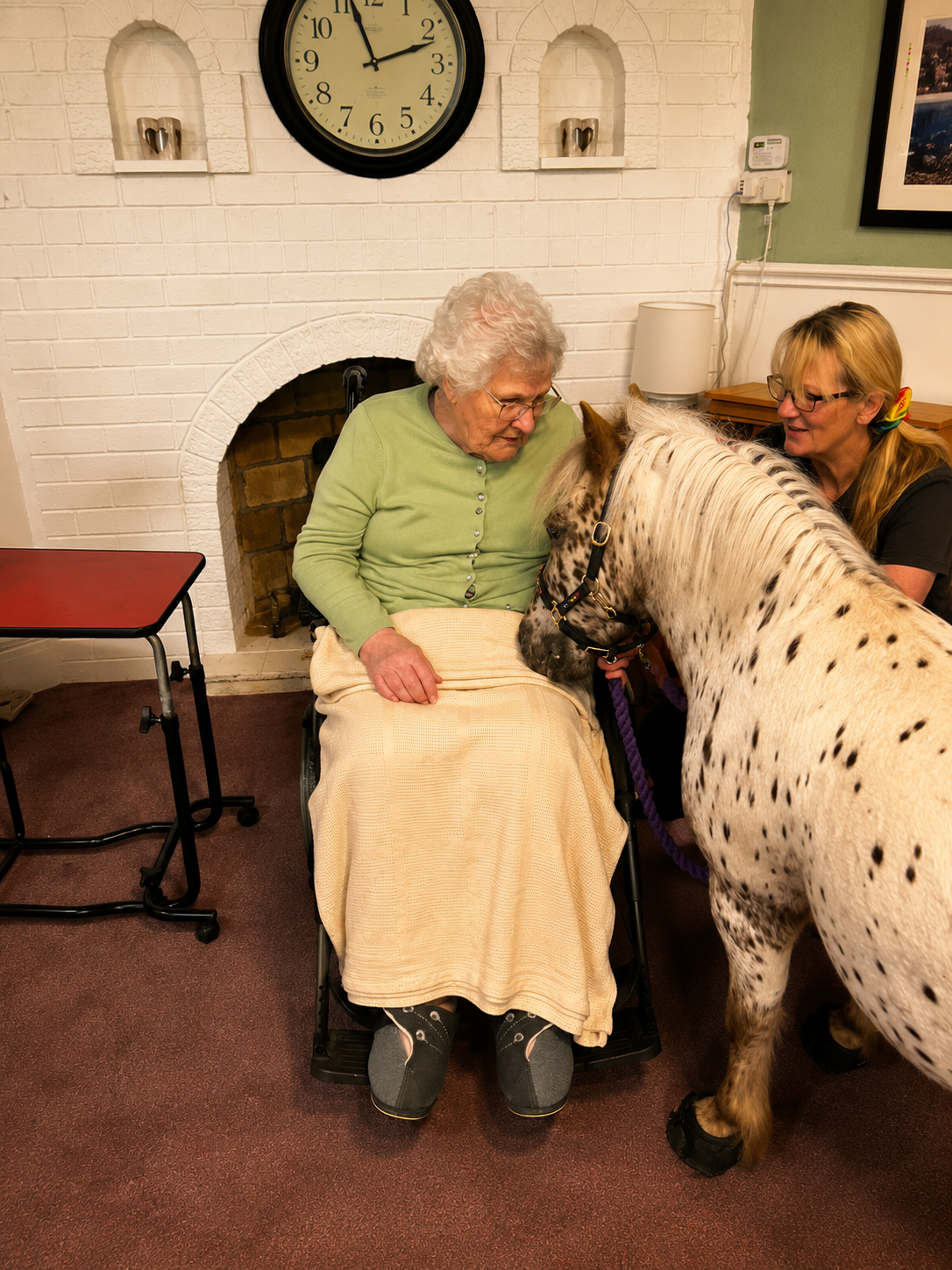 Animal Therapy Visit