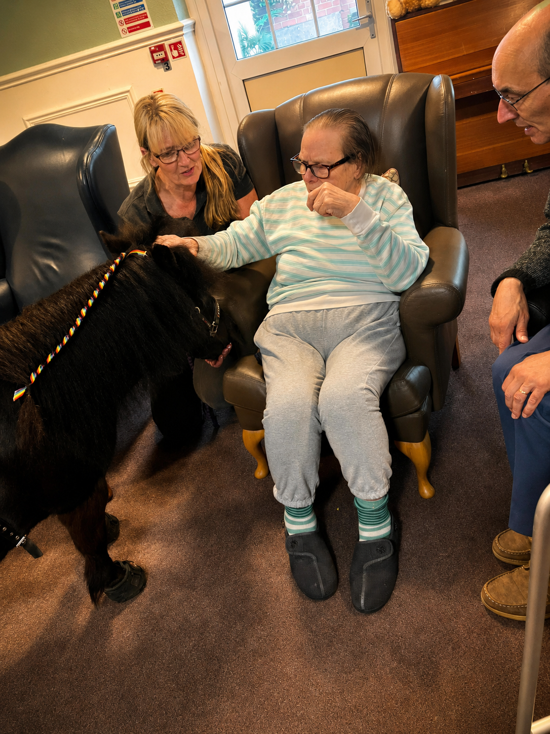 Animal Therapy Visit