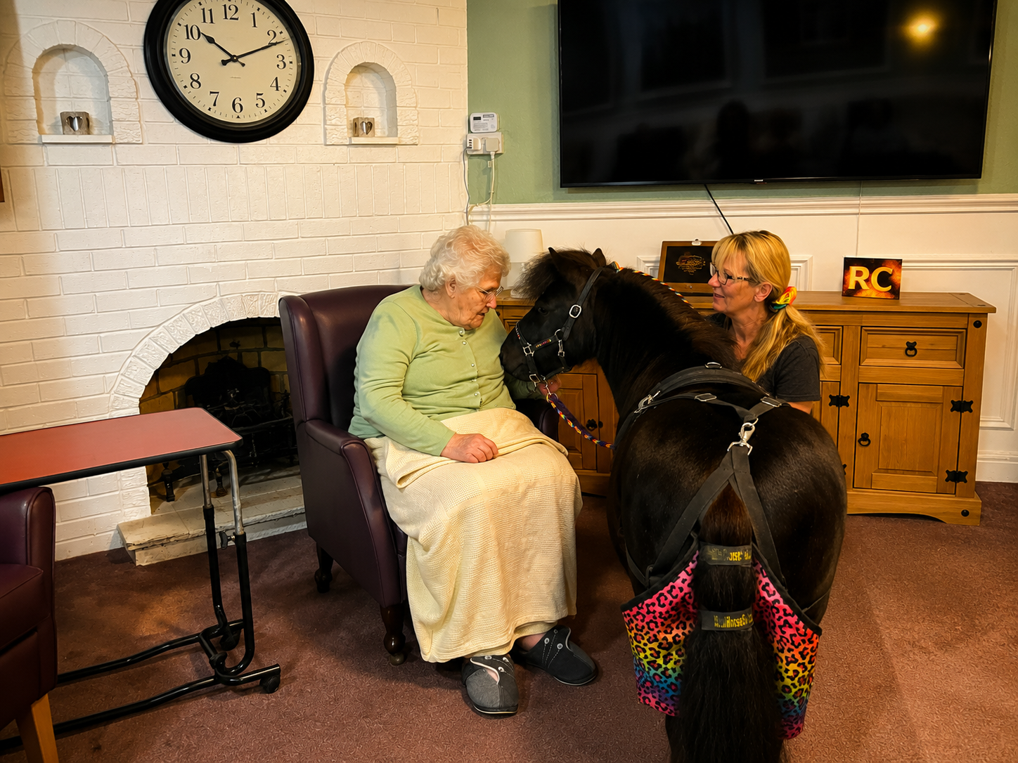 Animal Therapy Visit